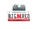 Big Red License Plate Rugged Sticker Nebraska Cornhuskers, Nebraska Stickers Decals & Magnets, Huskers Stickers Decals & Magnets, Nebraska Vehicle, Huskers Vehicle, Nebraska Big Red License Plate Rugged Sticker SDS Designs, Huskers Big Red License Plate Rugged Sticker SDS Designs