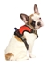 Nebraska Front Clip Pet Harness - PT-F6506