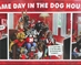 Nebraska Game Day Dog House 1,000 Piece Puzzle - GR-F8801