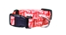 Nebraska Team Pet Collar - PT-E9883