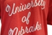 Womens University Of Nebraska Assent Top - AT-F7197