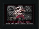 Determination Framed Nebraska Cornhuskers, Determination Framed